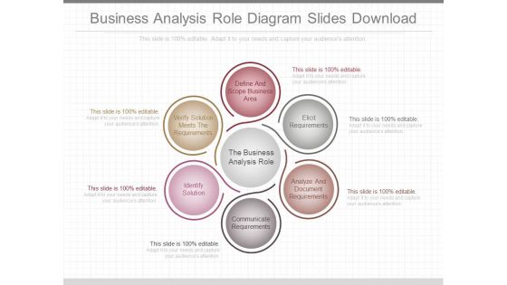 Business Analysis Role Diagram Slides Download