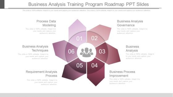 Business Analysis Training Program Roadmap Ppt Slides