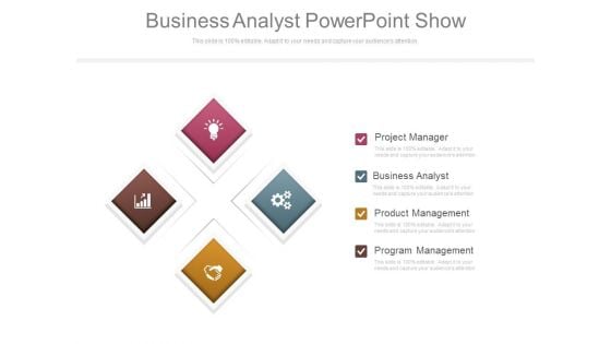 Business Analyst Powerpoint Show
