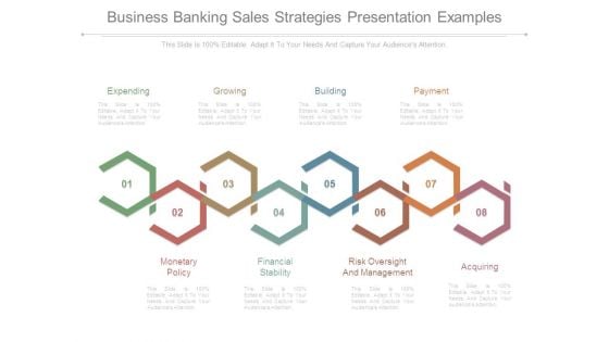 Business Banking Sales Strategies Presentation Examples