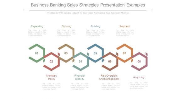 Business Banking Sales Strategies Presentation Examples Business Banking Sales Strategies Presentation Examples