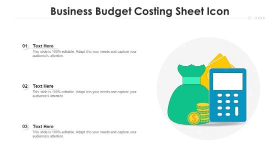 Business Budget Costing Sheet Icon Ppt PowerPoint Presentation Pictures Icon PDF