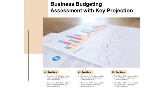 Business Budgeting Assessment With Key Projection Ppt PowerPoint Presentation Show Display PDF