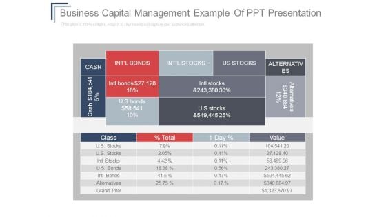 Business Capital Management Example Of Ppt Presentation