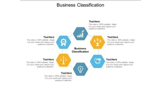 Business Classification Ppt PowerPoint Presentation Slides Show Cpb