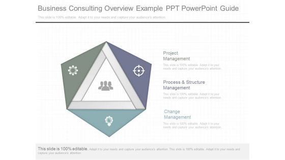 Business Consulting Overview Example Ppt Powerpoint Guide