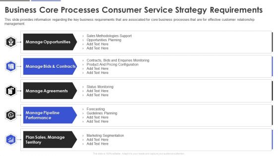 Business Core Processes Consumer Service Strategy Requirements Professional PDF