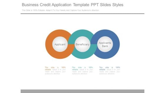 Business Credit Application Template Ppt Slides Styles