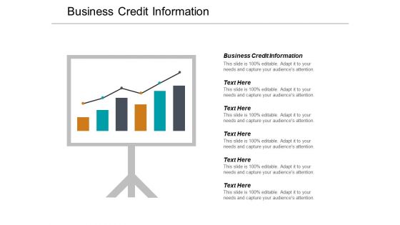 Business Credit Information Ppt PowerPoint Presentation Layouts Guidelines Cpb