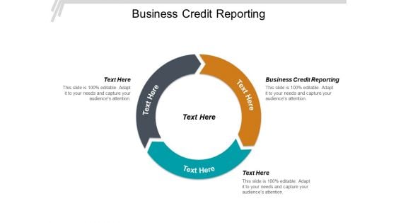 Business Credit Reporting Ppt PowerPoint Presentation Styles Display Cpb