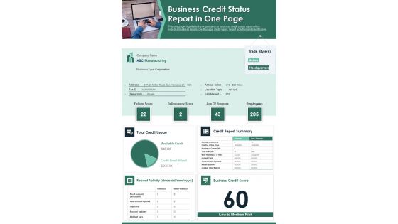 Business Credit Status Report In One Page PDF Document PPT Template