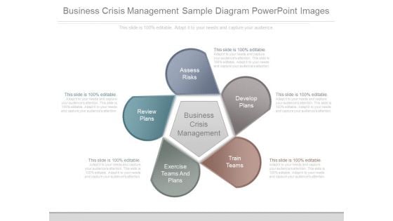 Business Crisis Management Sample Diagram Powerpoint Images