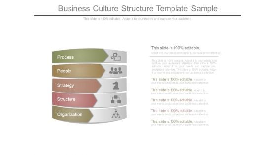 Business Culture Structure Template Sample