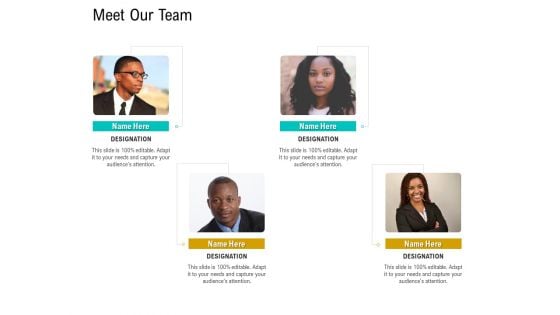 Business Data Analysis Meet Our Team Demonstration PDF Business Data Analysis Meet Our Team Demonstration PDF