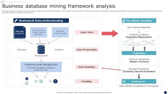 Business Database Mining Framework Analysis Portrait PDF