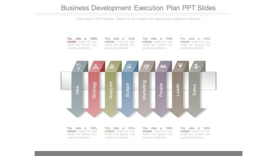 Business Development Execution Plan Ppt Slides