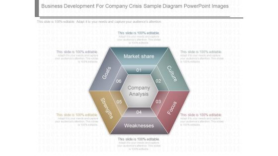 Business Development For Company Crisis Sample Diagram Powerpoint Images