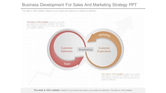 Business Development For Sales And Marketing Strategy Ppt