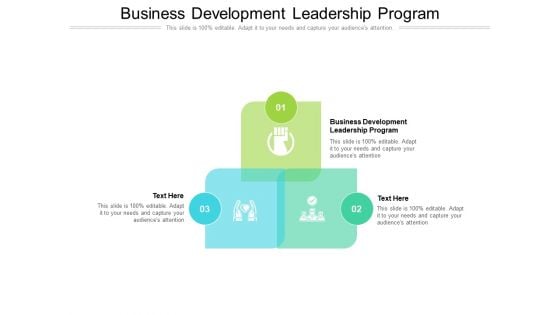 Business Development Leadership Program Ppt PowerPoint Presentation Layouts Objects Cpb Pdf