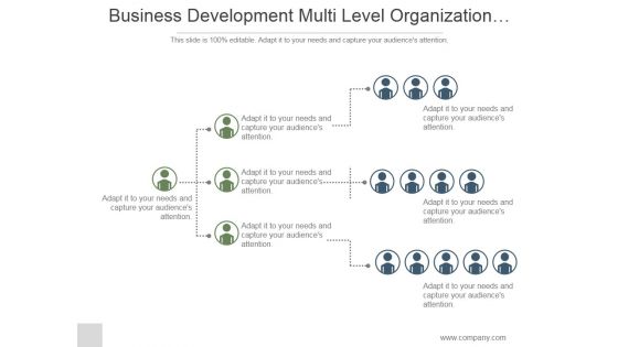 Business Development Multi Level Organization Hierarchy Ppt PowerPoint Presentation Pictures