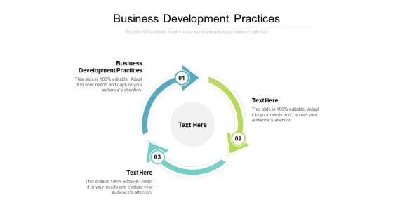 Business Development Practices Ppt PowerPoint Presentation Pictures Graphics Tutorials Cpb