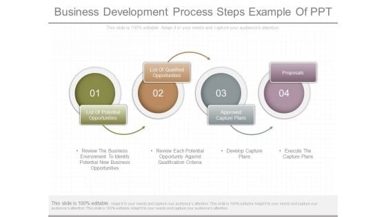 Business Development Process Steps Example Of Ppt