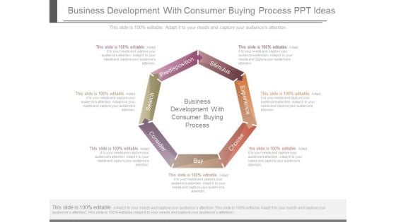 Business Development With Consumer Buying Process Ppt Ideas
