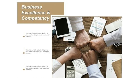 Business Excellence And Competency Ppt PowerPoint Presentation Slides Example Topics