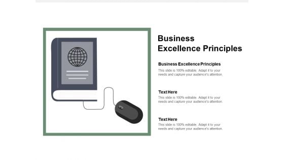 Business Excellence Principles Ppt PowerPoint Presentation Inspiration Professional Cpb