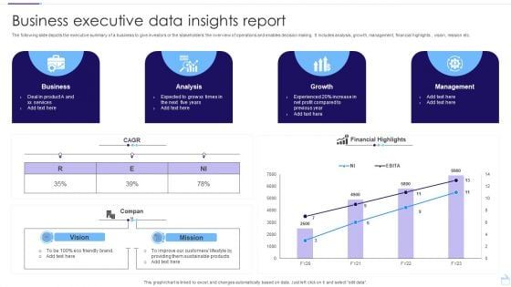 Business Executive Data Insights Report Pictures PDF