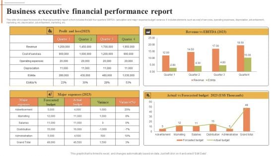 Business Executive Financial Performance Report Download PDF