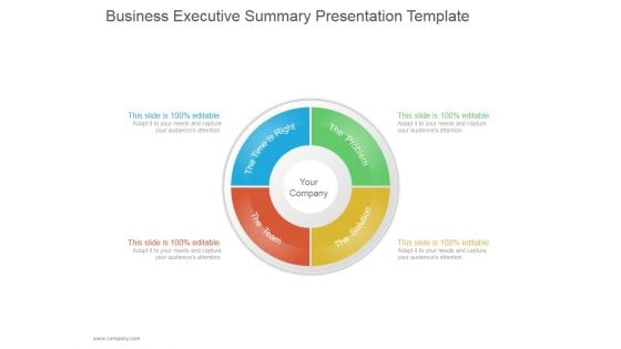 Business Executive Summary Ppt PowerPoint Presentation Ideas