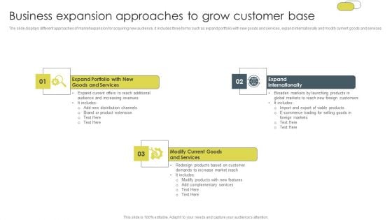 Business Expansion Approaches To Grow Customer Base Demonstration PDF