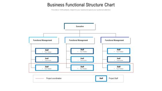 Business Functional Structure Chart Ppt PowerPoint Presentation File Rules PDF