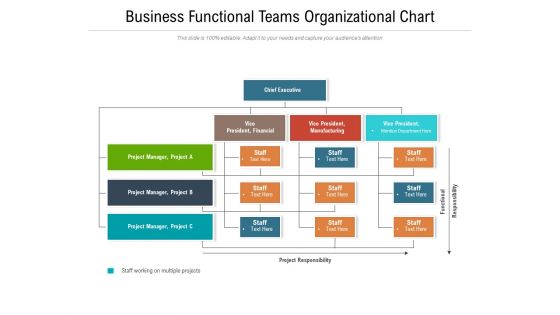 Business Functional Teams Organizational Chart Ppt PowerPoint Presentation Gallery Objects PDF