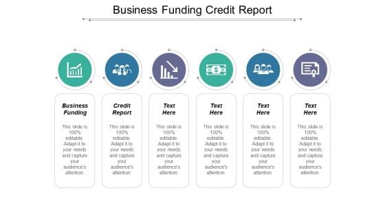 Business Funding Credit Report Ppt PowerPoint Presentation Gallery Slide