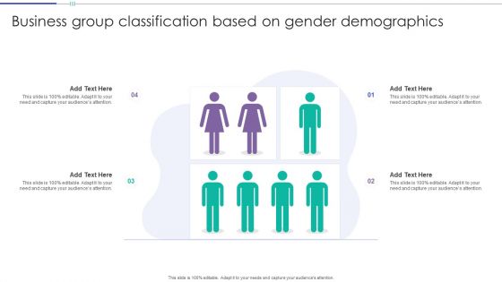 Business Group Classification Based On Gender Demographics Summary PDF