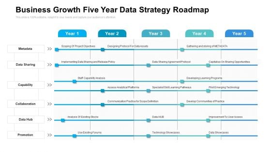 Business Growth Five Year Data Strategy Roadmap Rules