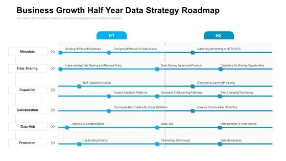 Business Growth Half Year Data Strategy Roadmap Formats