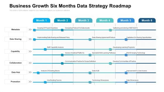 Business Growth Six Months Data Strategy Roadmap Icons