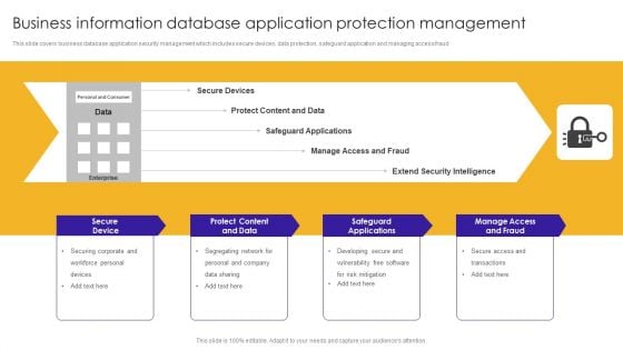 Business Information Database Application Protection Management Ideas PDF