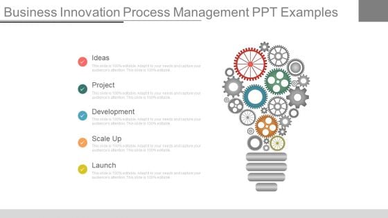 Business Innovation Process Management Ppt Examples