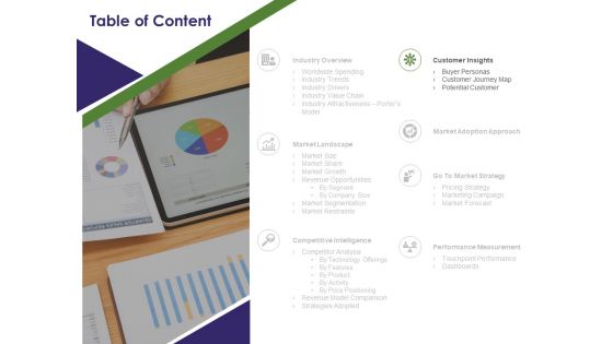 Business Intelligence Report Table Of Content Customer Ppt Gallery Skills PDF