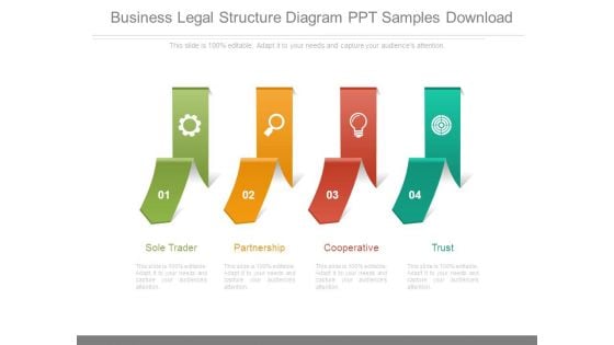 Business Legal Structure Diagram Ppt Samples Download