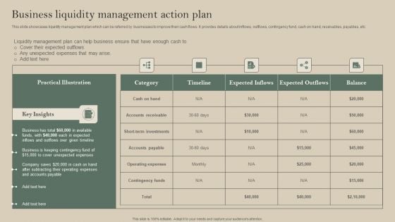 Business Liquidity Management Action Plan Template PDF