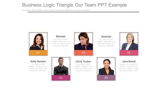 Business Logic Triangle Our Team Ppt Example