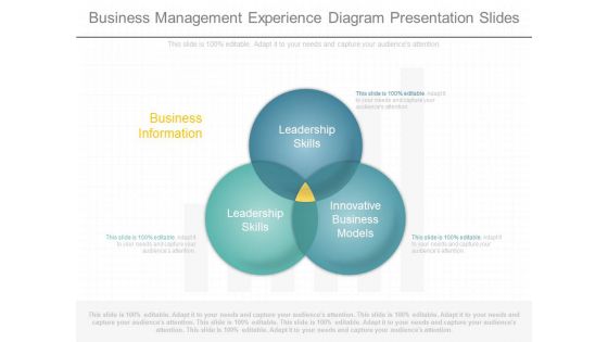 Business Management Experience Diagram Presentation Slides Business Management Experience Diagram Presentation Slides