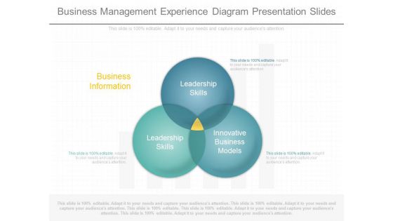 Business Management Experience Diagram Presentation Slides