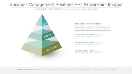 Business Management Positions Ppt Powerpoint Images