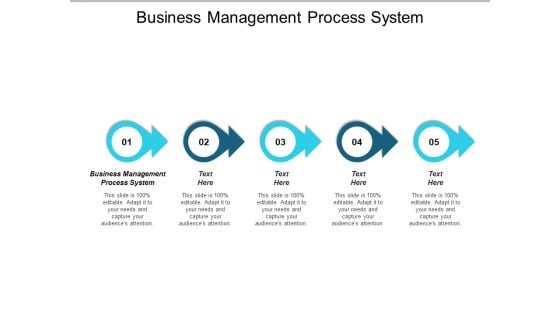 Business Management Process System Ppt PowerPoint Presentation Portfolio Outfit Cpb